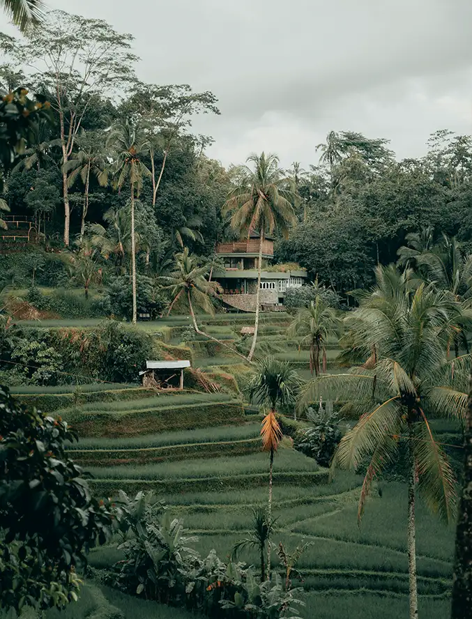 lonely centre location 2